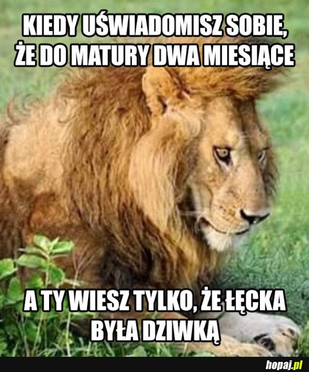 DO MATURY DWA MIESIĄCE