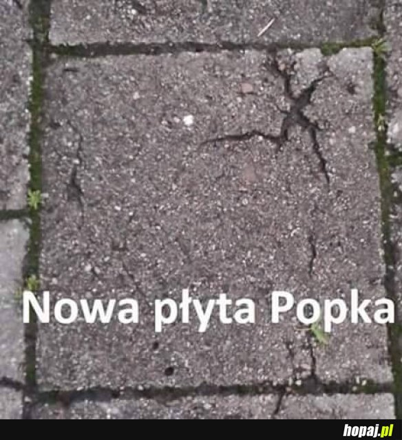 Nowa płyta