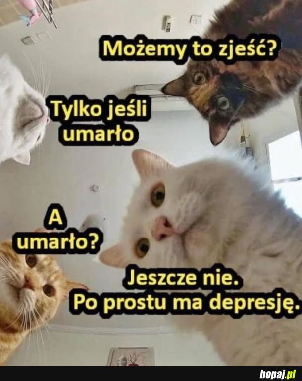 Trzeba poczekać