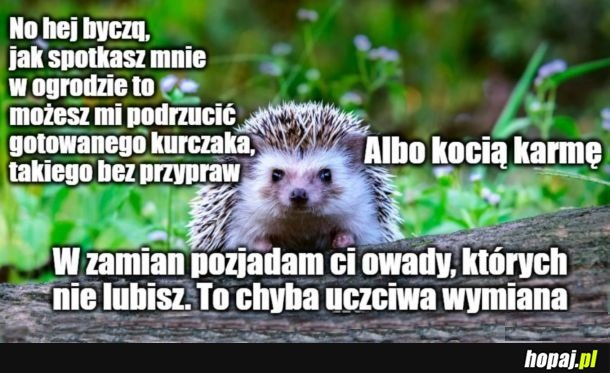 Warto pamiętać o tym dobrym ziomku