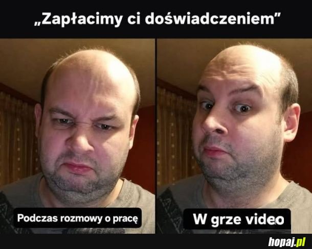 Zapłacimy ci doświadczeniem