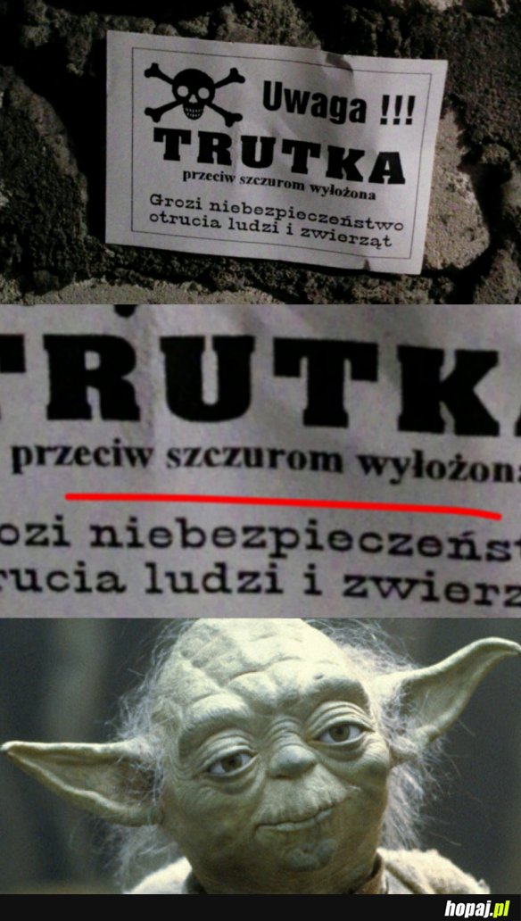 YODA MISTRZ