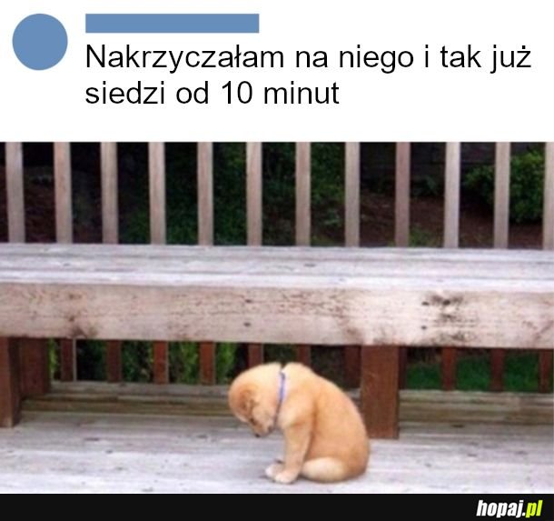 Kiedy pańcia jest na ciebie zła