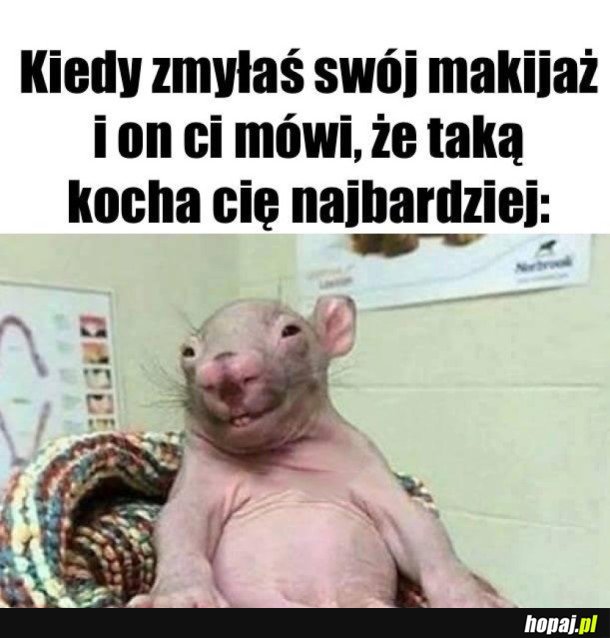 ŚLEPA MIŁOŚĆ