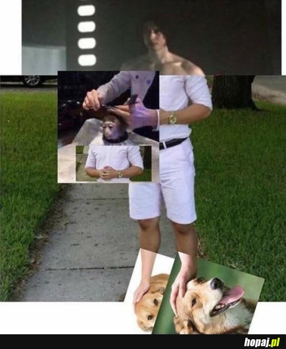 WYŻSZY LEVEL MEMA