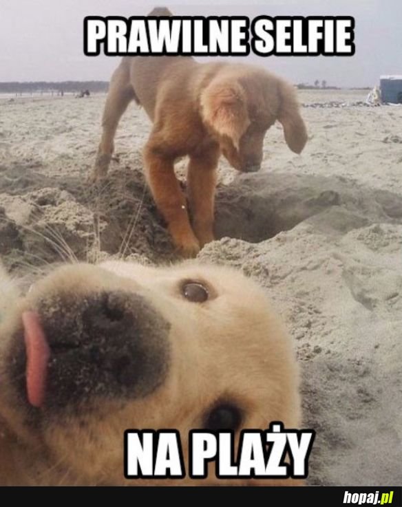 Takie tam na plaży