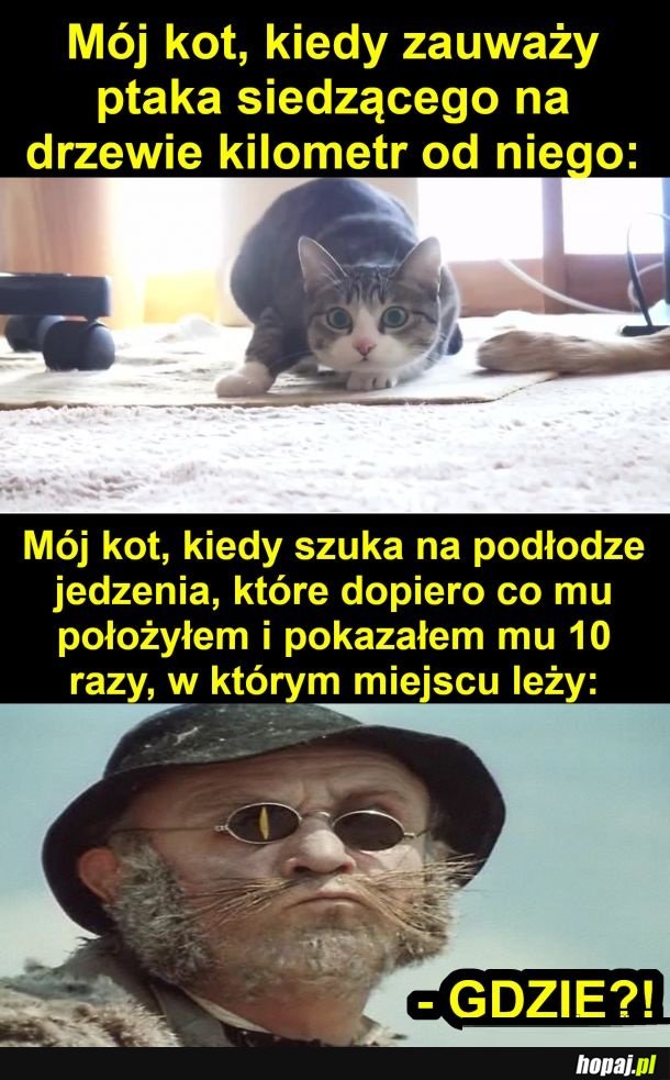 Czemu tak jest?