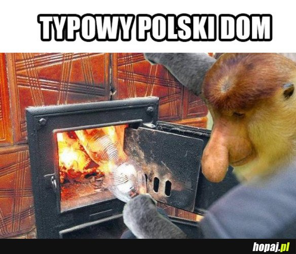 POLSKI DOM