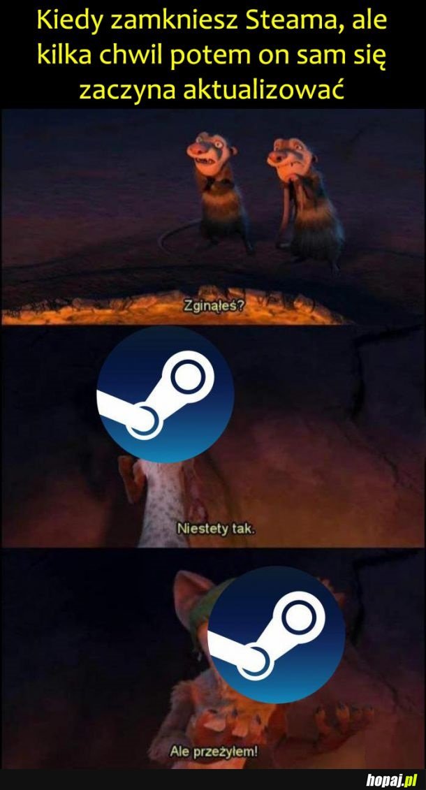 Steam