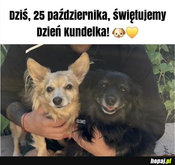 Ważne święto