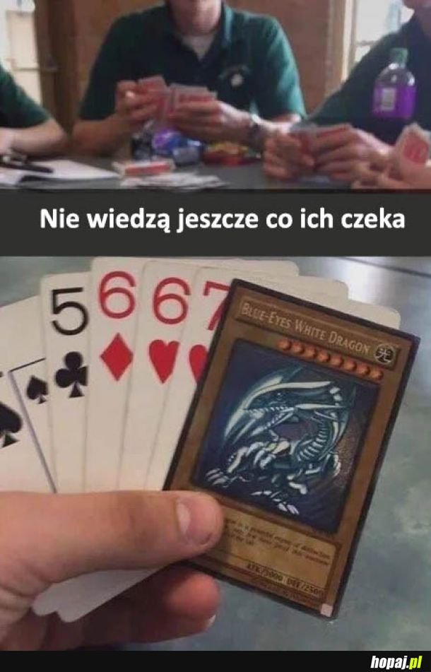 Nie wiedzą jeszcze