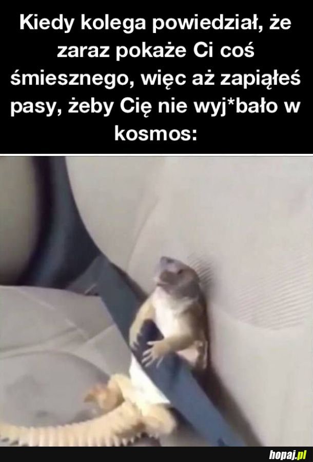 Ale zaraz będzie się działo 