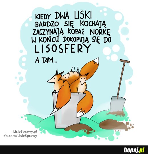 Skąd się biorą małe liski?