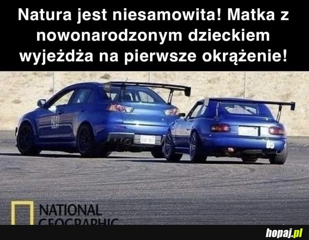 Czytała Krystyna Czubówna