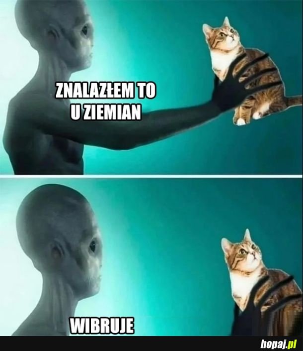 Cudne znalezisko