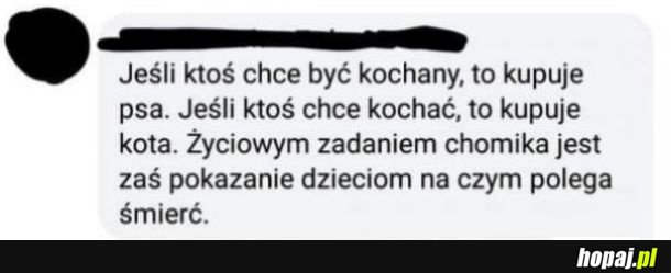 Chomik nauczył