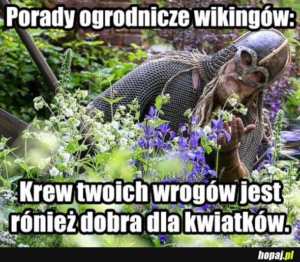 SEKRETY WIKINGÓW