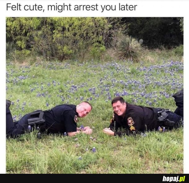 Później cię aresztujemy 