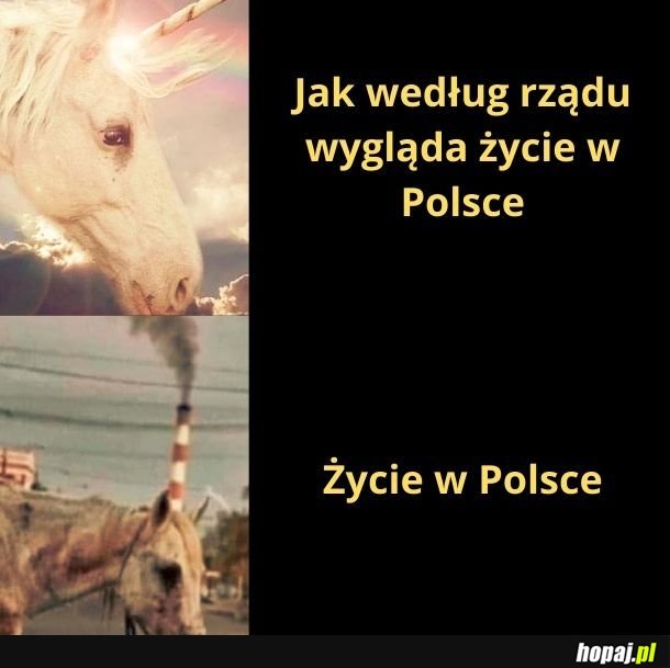 Życie w Polsce