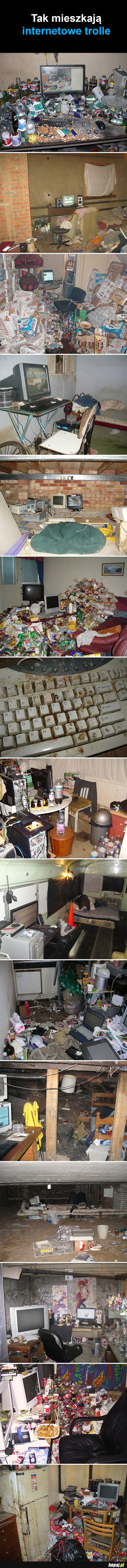 TROLLE TEŻ LUDZIE