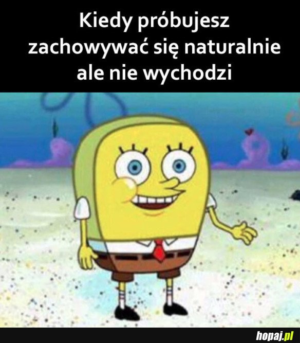 PRAWIE SIĘ UDAŁO