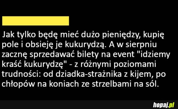Pomysł na biznes