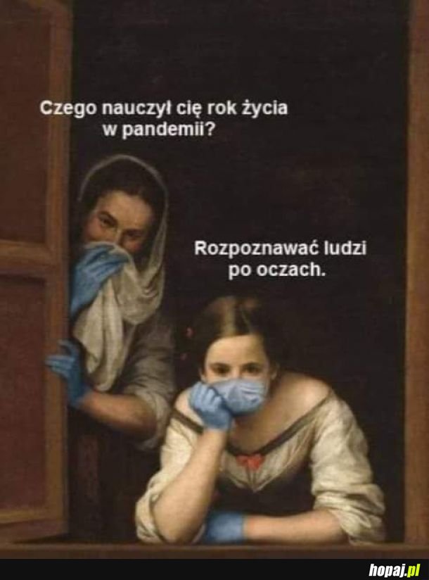 Zawsze można będzie wpisać do CV