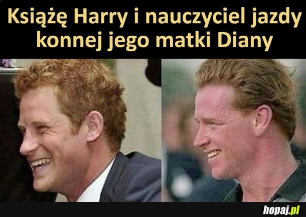 Książe Harry :)