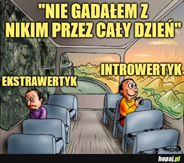 Tak to wygląda. 