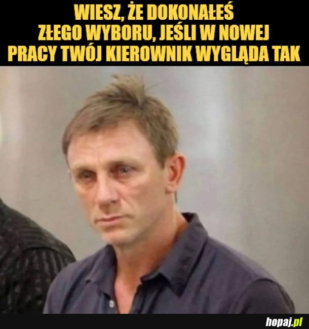 Kierownik. 