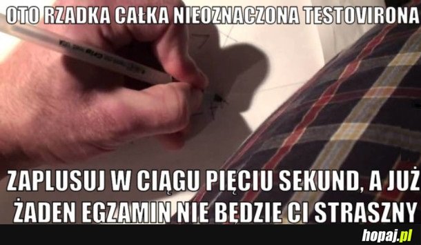 Z POZDROWIENIAMI DLA EWELINY I JEJ CHŁOPAKA