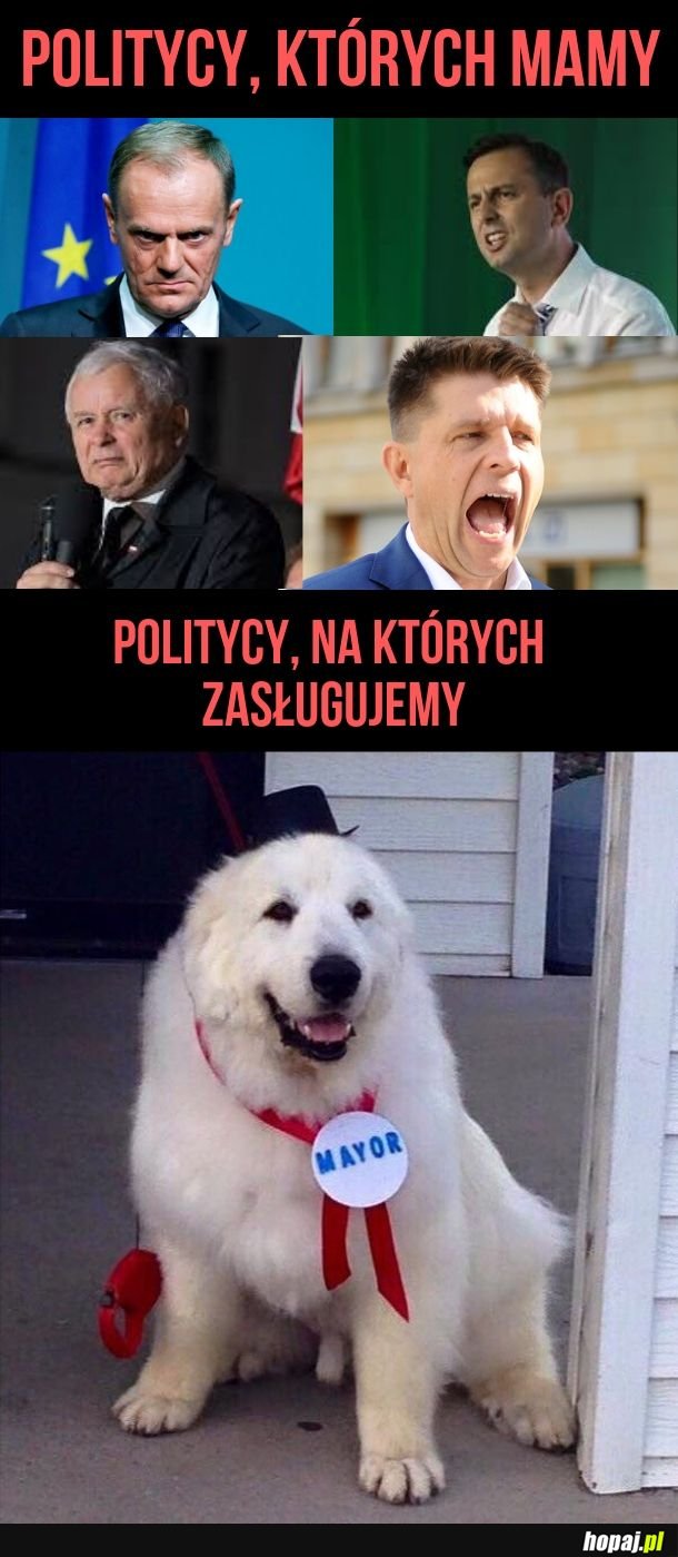 Pieseł na prezydenteł 