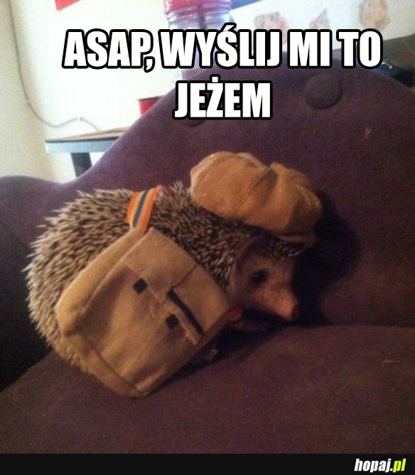 Wyślij mi to.