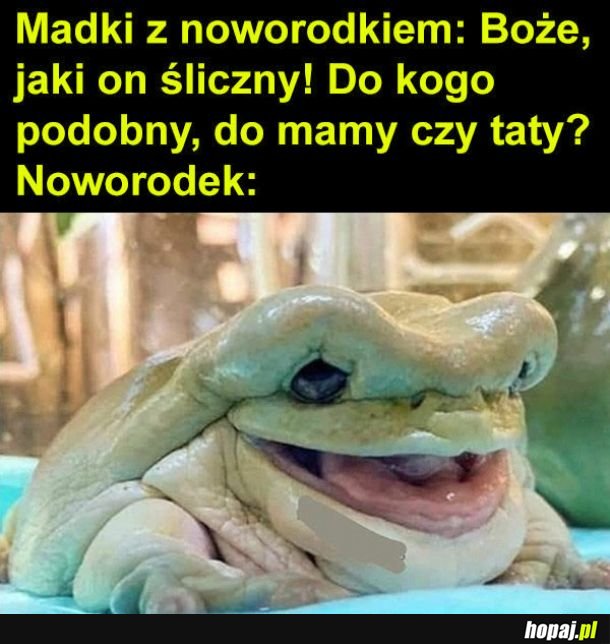 Piękny