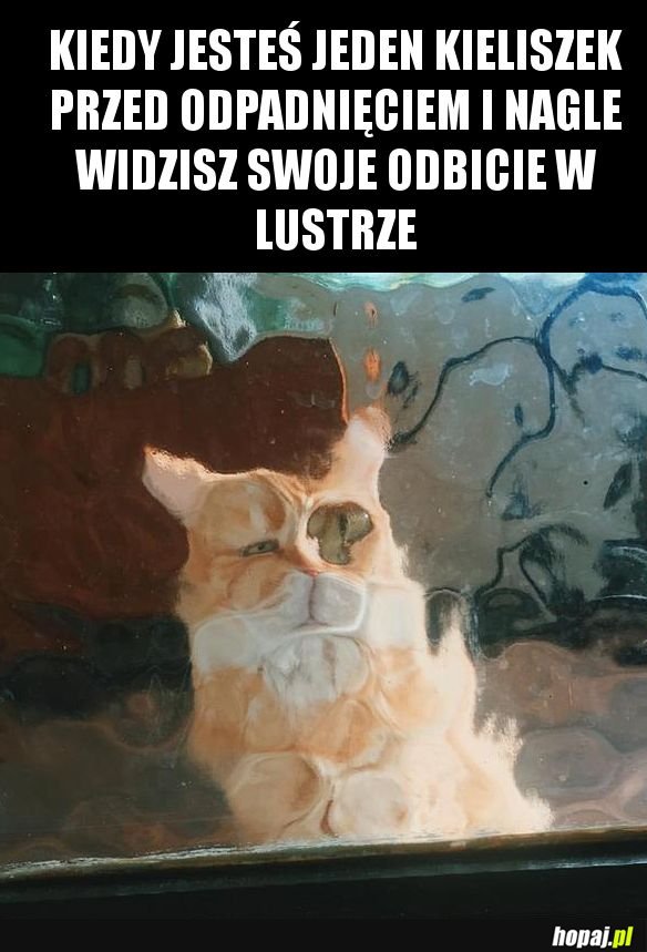 To się źle skończy...