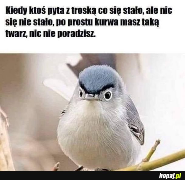 Weź nie udawaj że chcesz pomóc