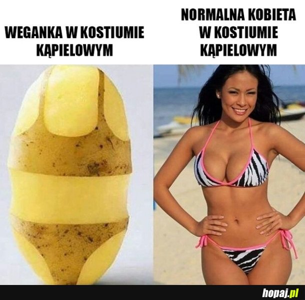 NORMALNA DZIEWCZYNA VS. WEGANKA