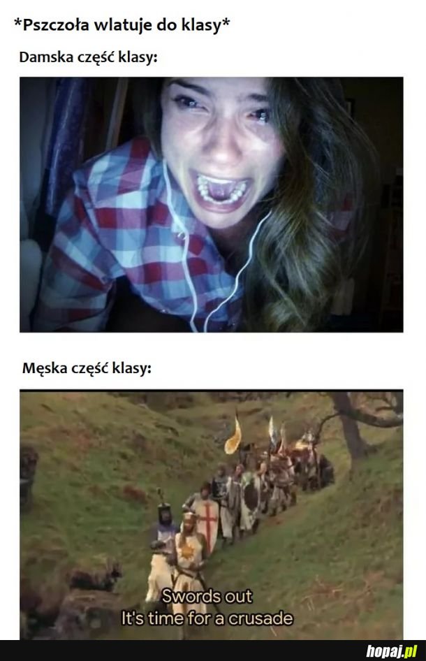 Tak to wygląda 