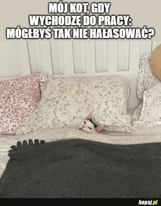 &quot;I zarób na porządne saszety&quot;