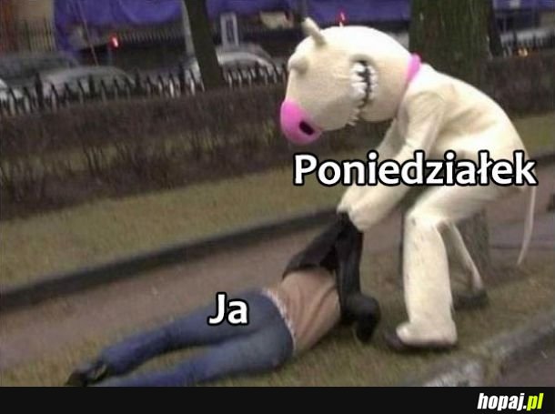  Poniedziałek 