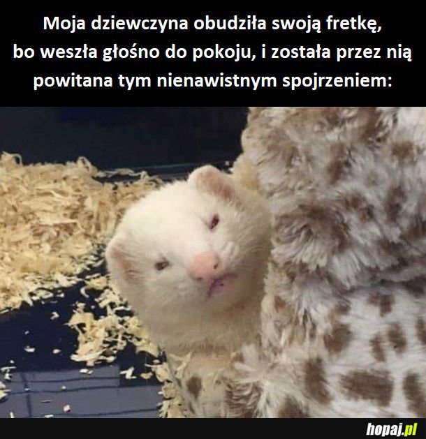 Chyba się wkurzyła