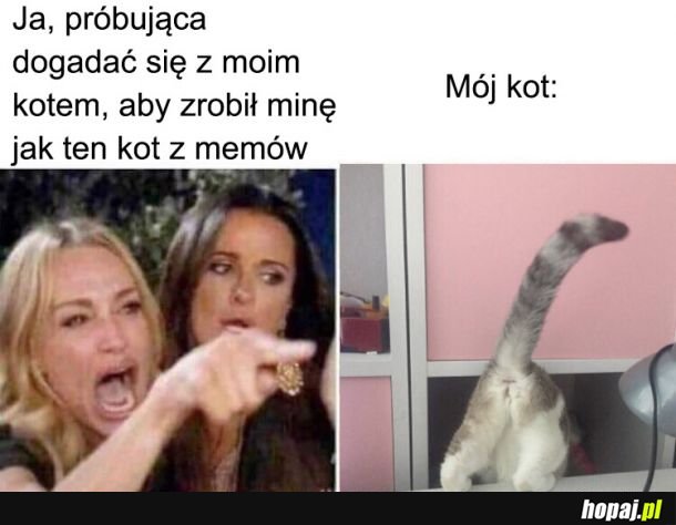  Brak porozumienia 