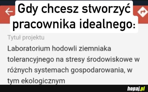 Korpoziemniak