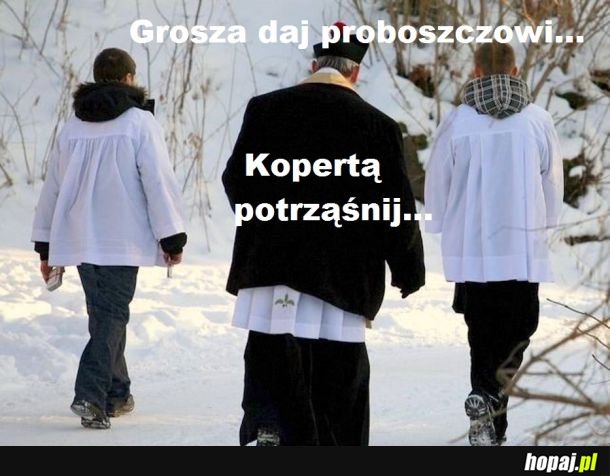 Grosza daj proboszczowi