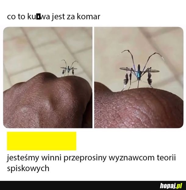 Ciekawe co wstrzykuje