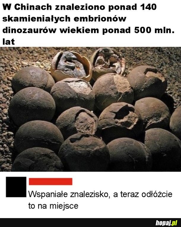 Dinozaury
