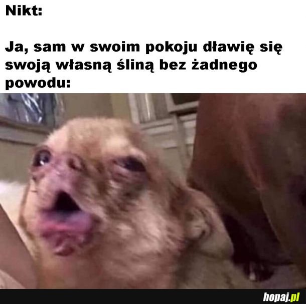 Bez powodu