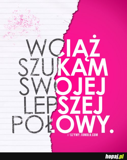 Szukam swojej lepszej połowy :)