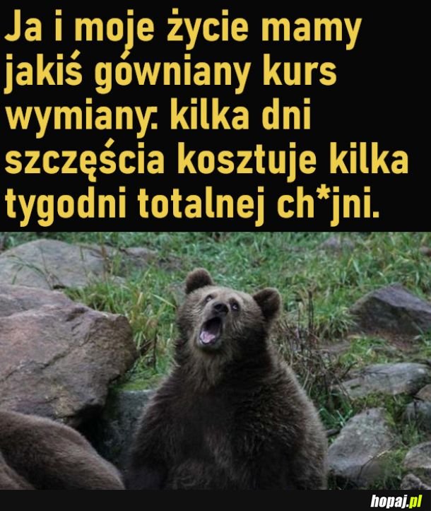 Moje życie to jedno wielkie G