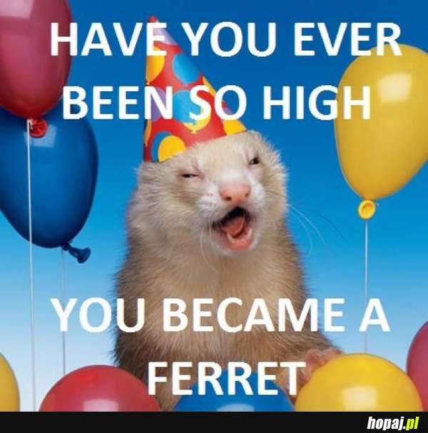 Have you ever been so high?